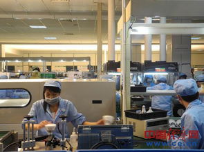 俭以养德 节约之星 小灯泡 汇聚大能量