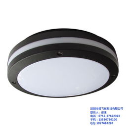 深圳恒飞烁 客厅吸顶灯 客厅吸顶灯节能高清图片 高清大图