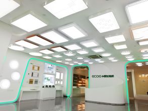 小器鬼 逐光造明,敢为人先成大器